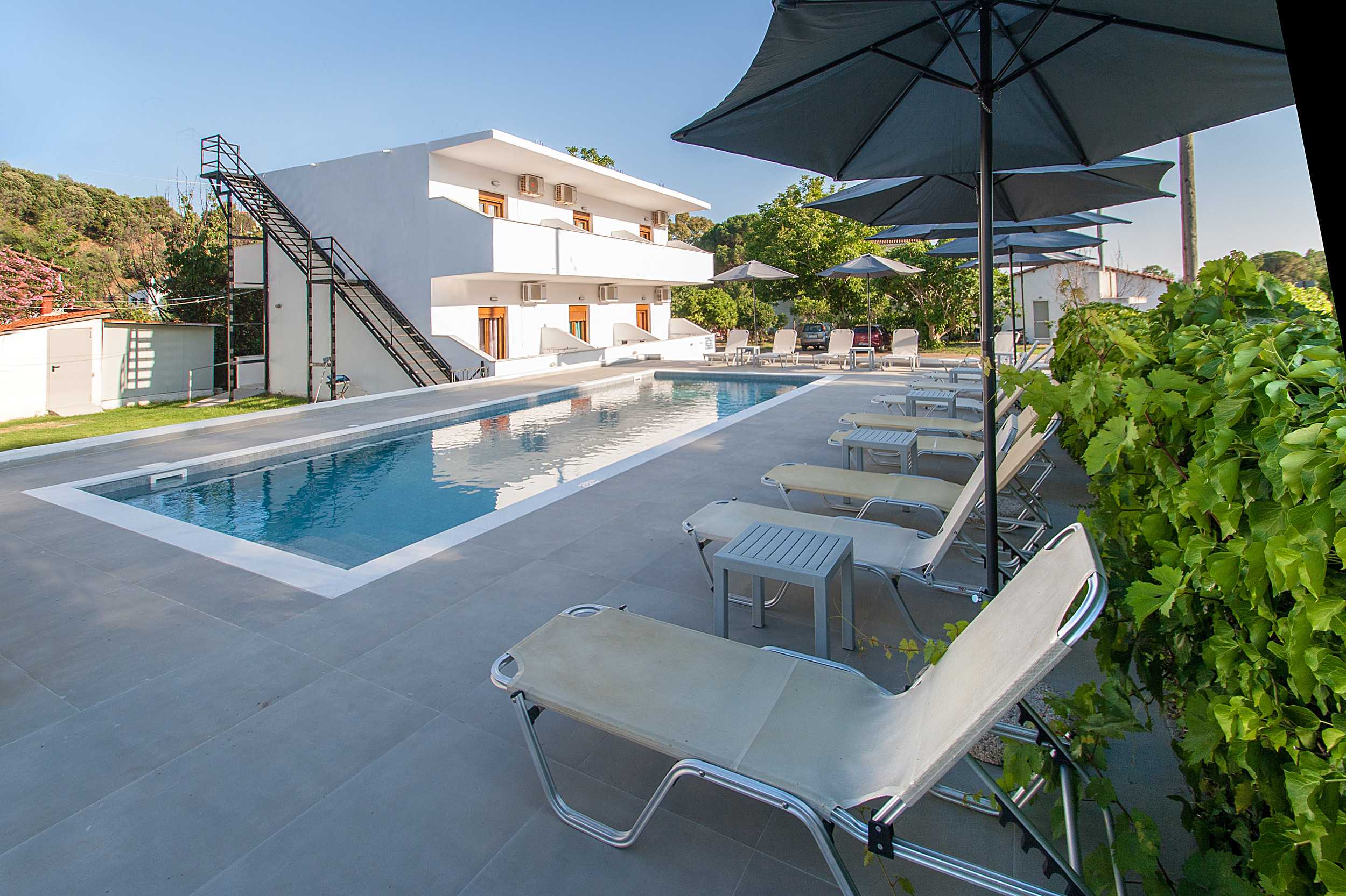 View of the pool with the sunbeds and the building